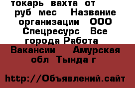 токарь. вахта. от 50 000 руб./мес. › Название организации ­ ООО Спецресурс - Все города Работа » Вакансии   . Амурская обл.,Тында г.